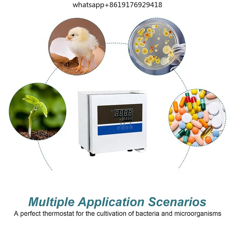 Laboratoryjny mini inkubator b – Lab Incubator recenzja i cena